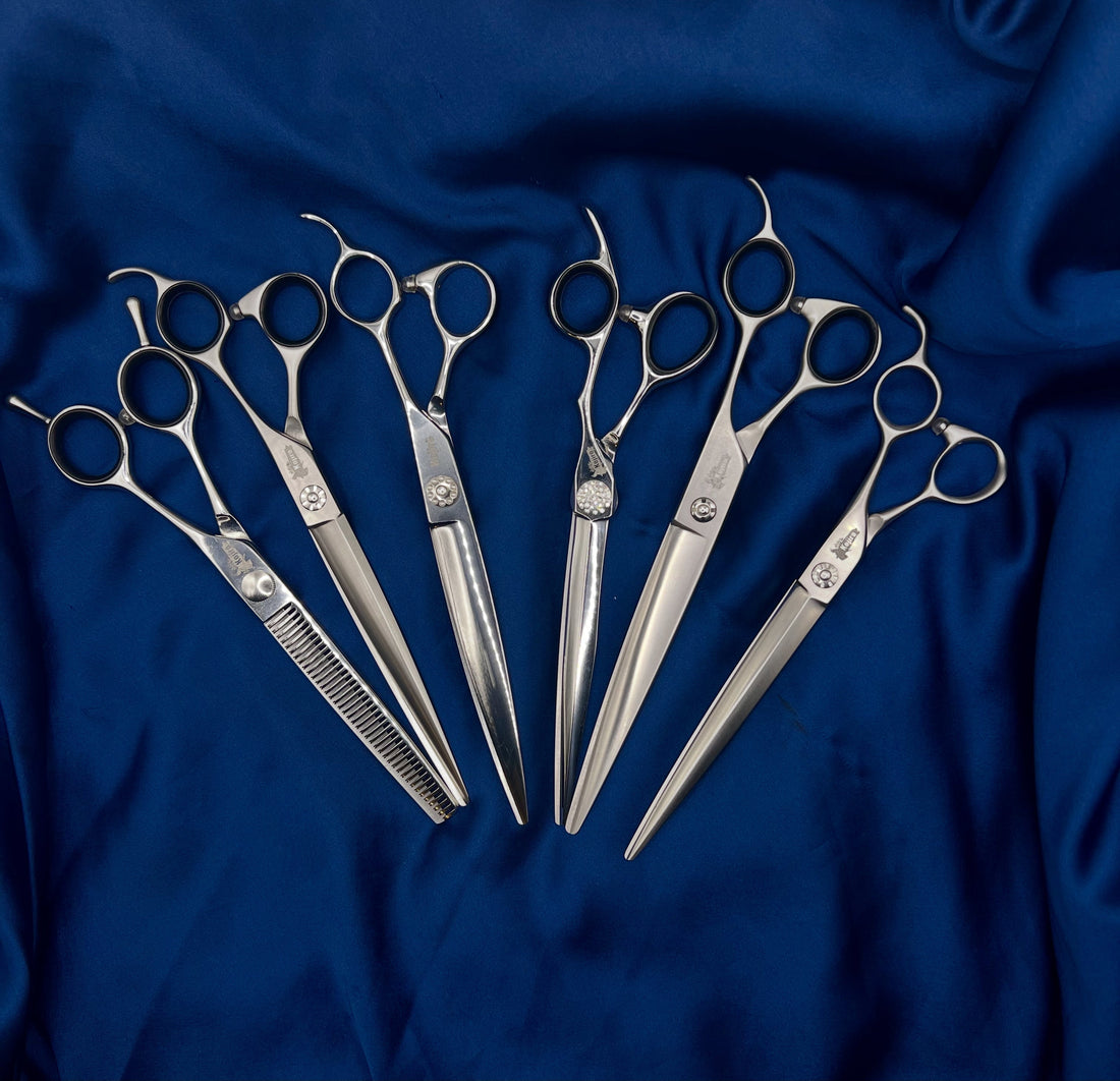 Professional Quality Scissors: An Investment in Precision, Comfort, and Longevity