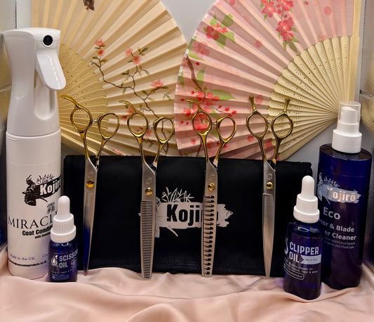 The Essentials Set